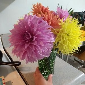 Meet your Posher, Jessie